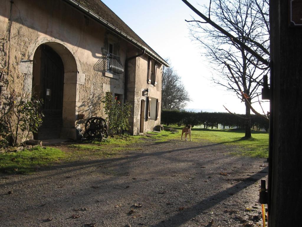 Chez Robert Et Catherine Dompierre-sur-Mont Cameră foto